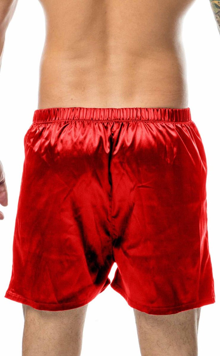 Malebasics Shorts Satin