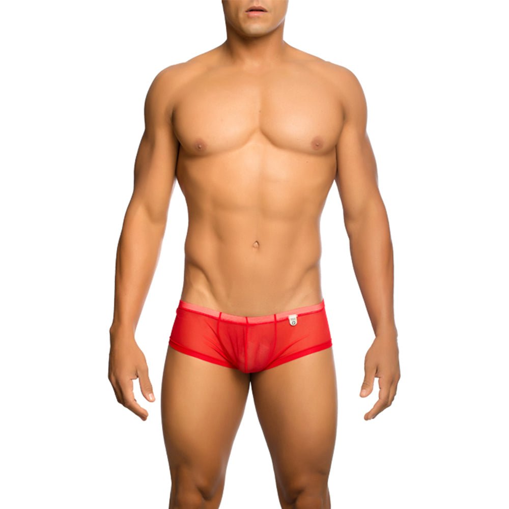 MOB Men's Sexy Sheer Hip Brief