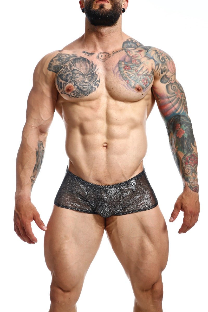 MOB Men's Sexy Sheer Hip Brief