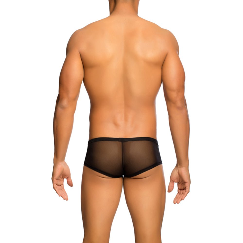 MOB Men's Sexy Sheer Hip Brief