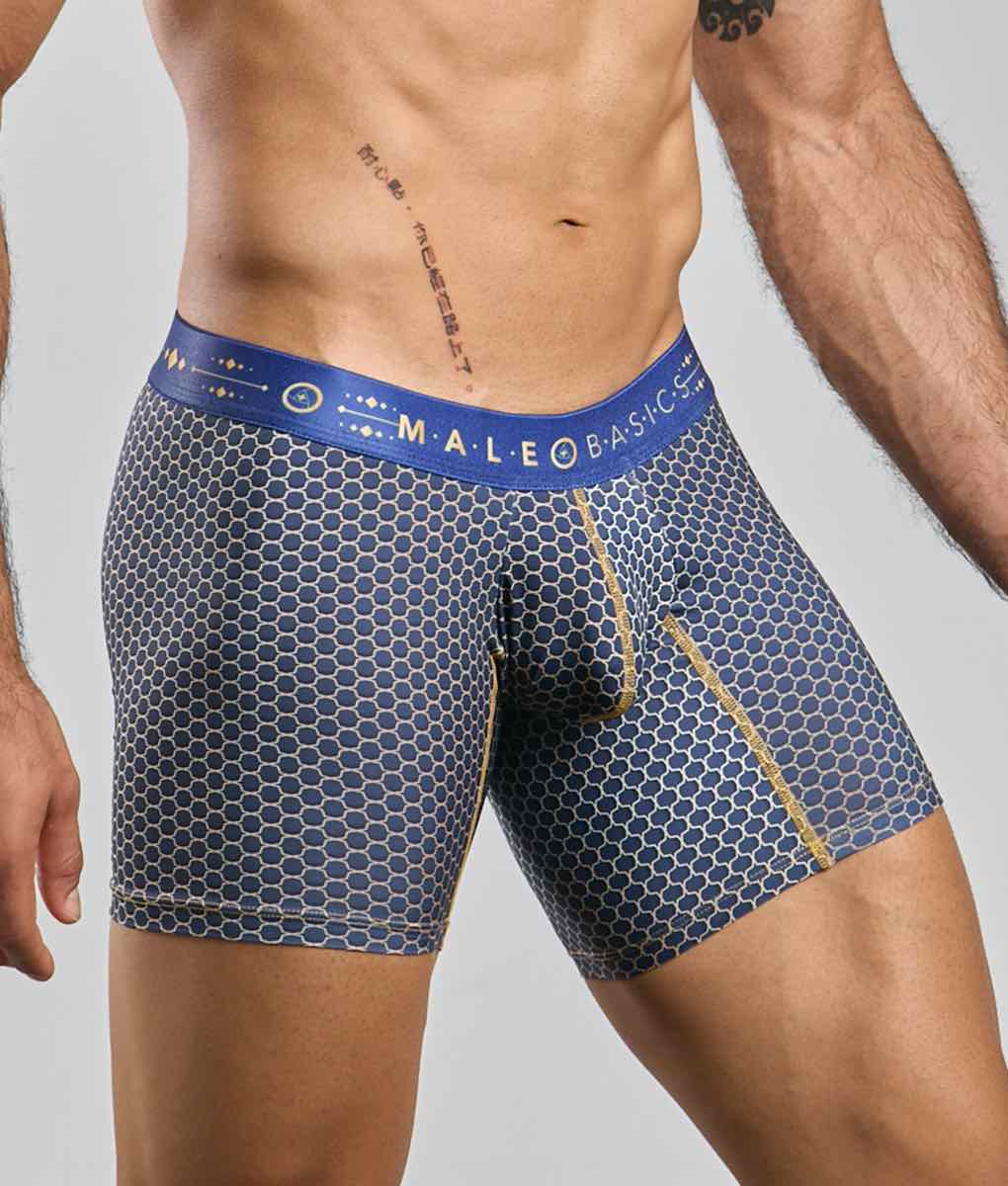 MaleBasics Boxer Brief Hipster