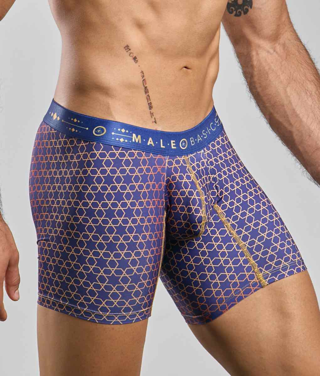 MaleBasics Boxer Brief Hipster