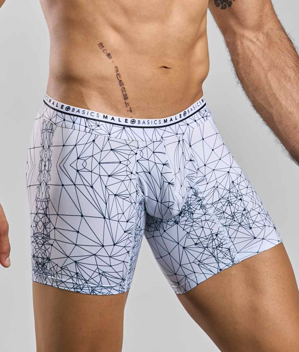 Malebasics New Hipster Boxer Brief Spider