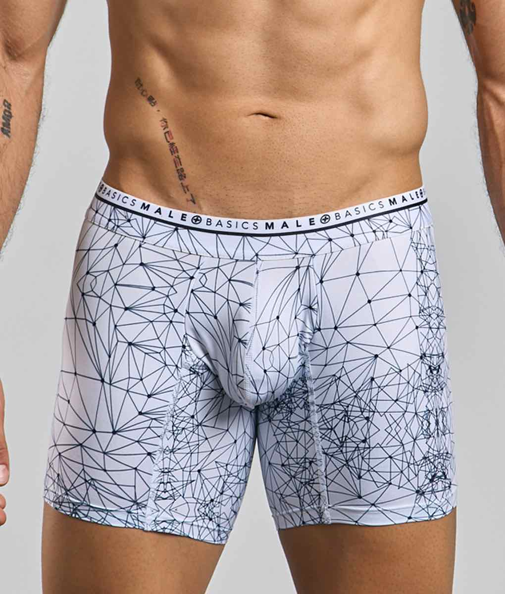 Malebasics New Hipster Boxer Brief Spider