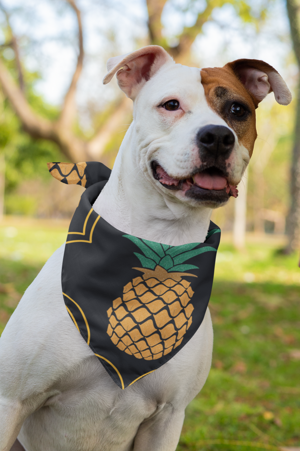 Pineapple bandana