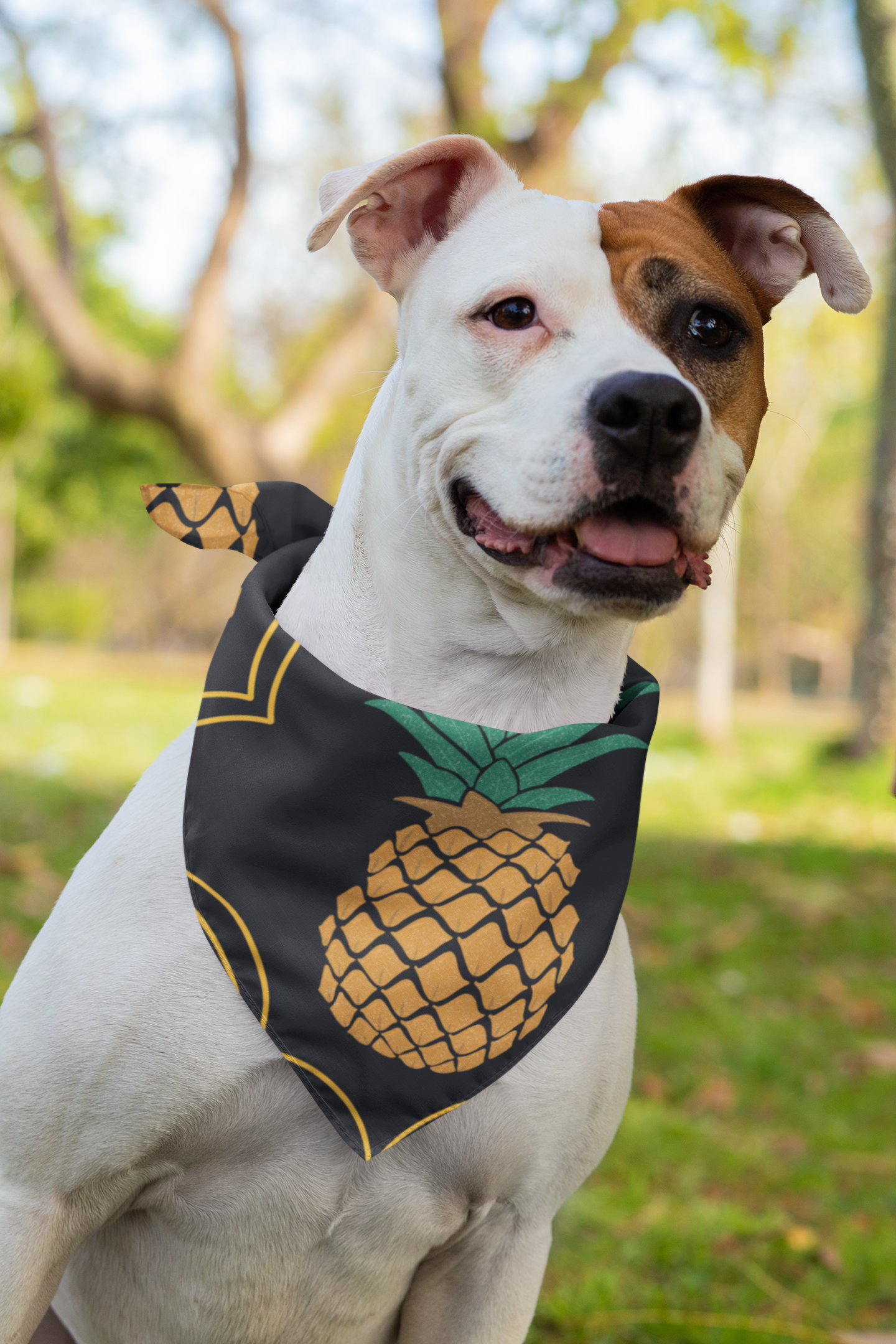 Pineapple bandana