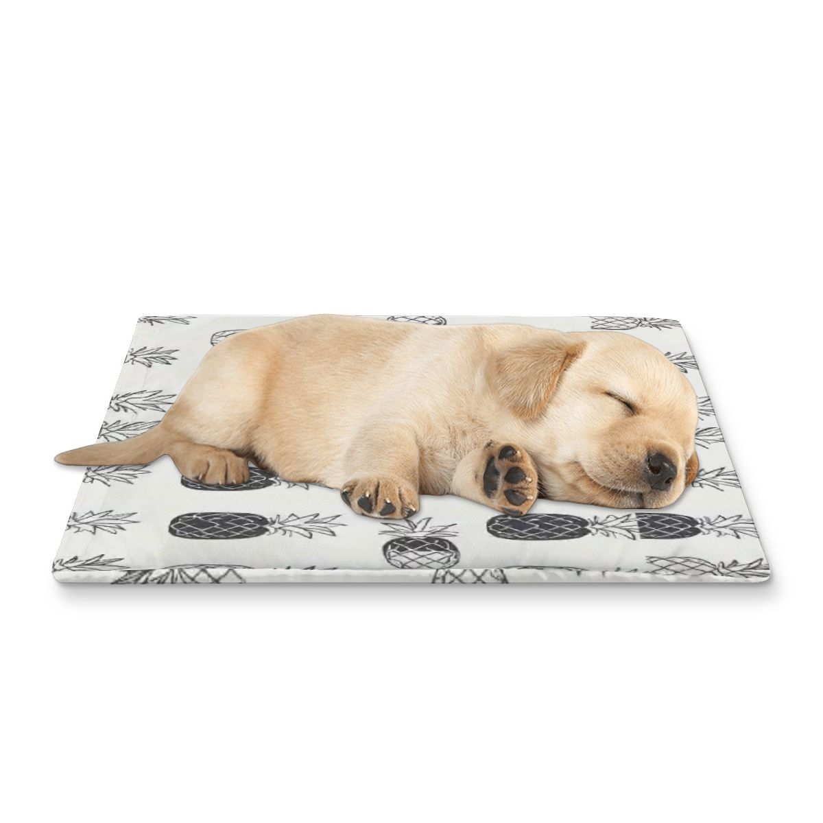 Pineapple inspired cooling pad for dogs or cats. Picture has a cute puppy laying on a cooling mat sleeping peacefully. Even our animals love the swinging lifestyle.
