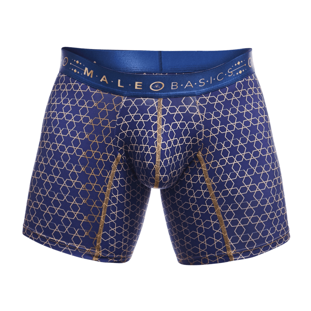 MaleBasics Boxer Brief Hipster