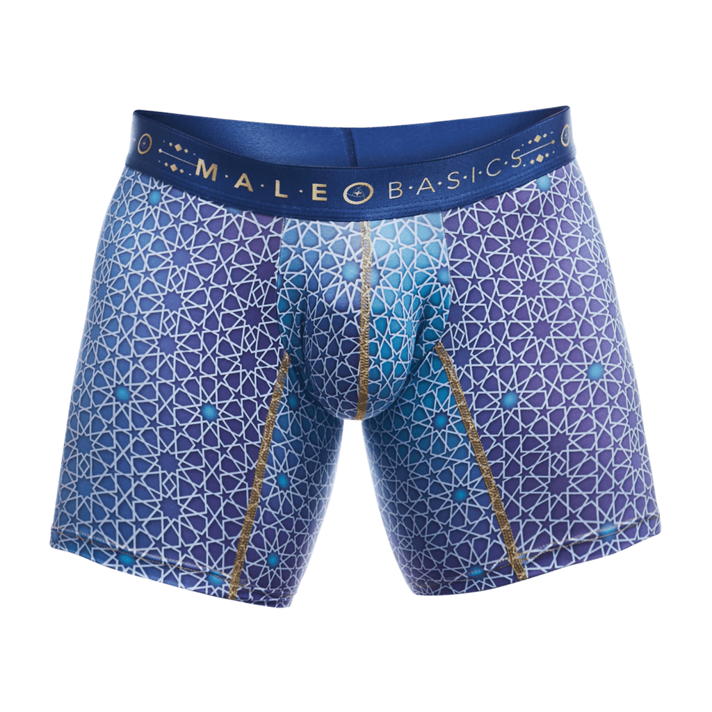 MaleBasics Boxer Brief Hipster