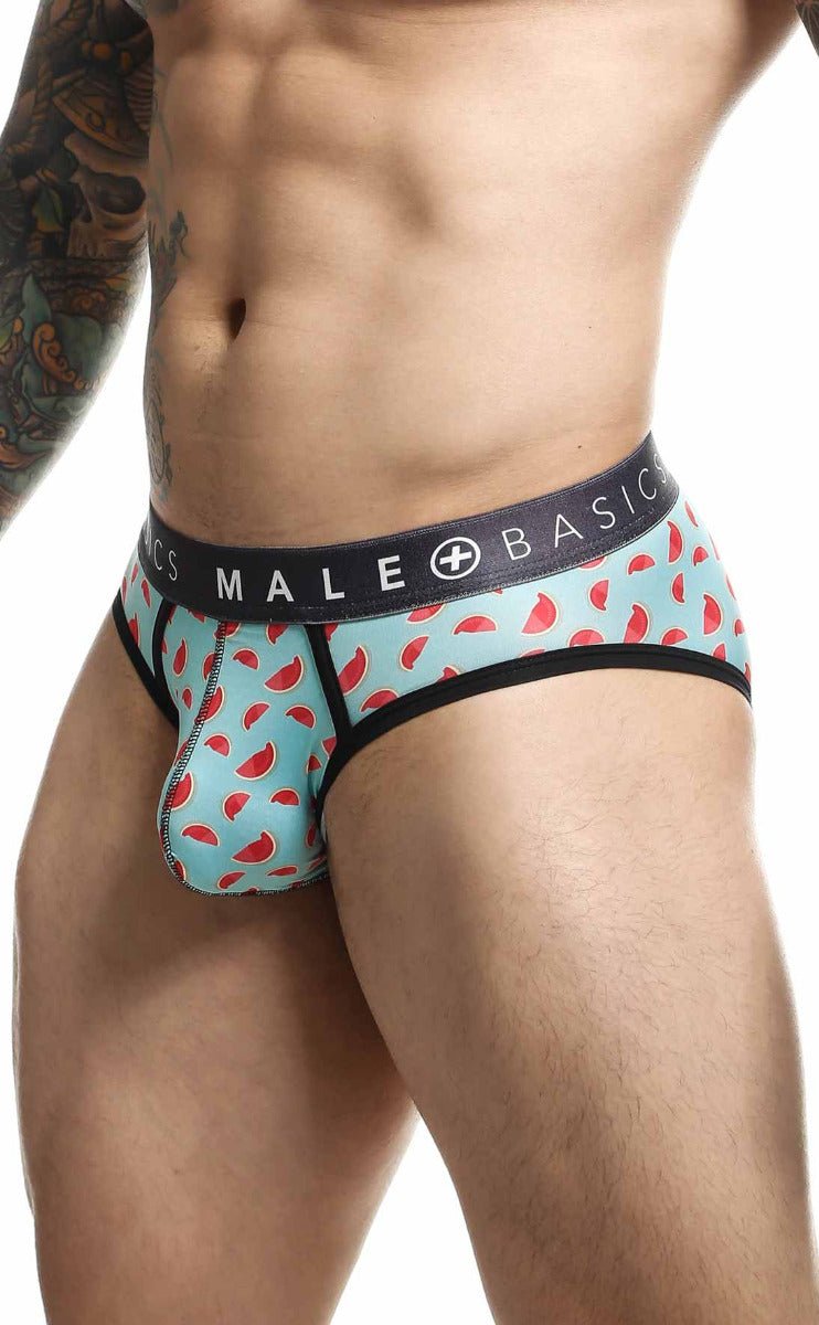 Malebasics Brief Sexy Pouch