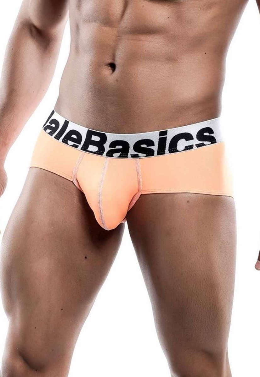 Malebasics Men's Sports Performance Hip Brief