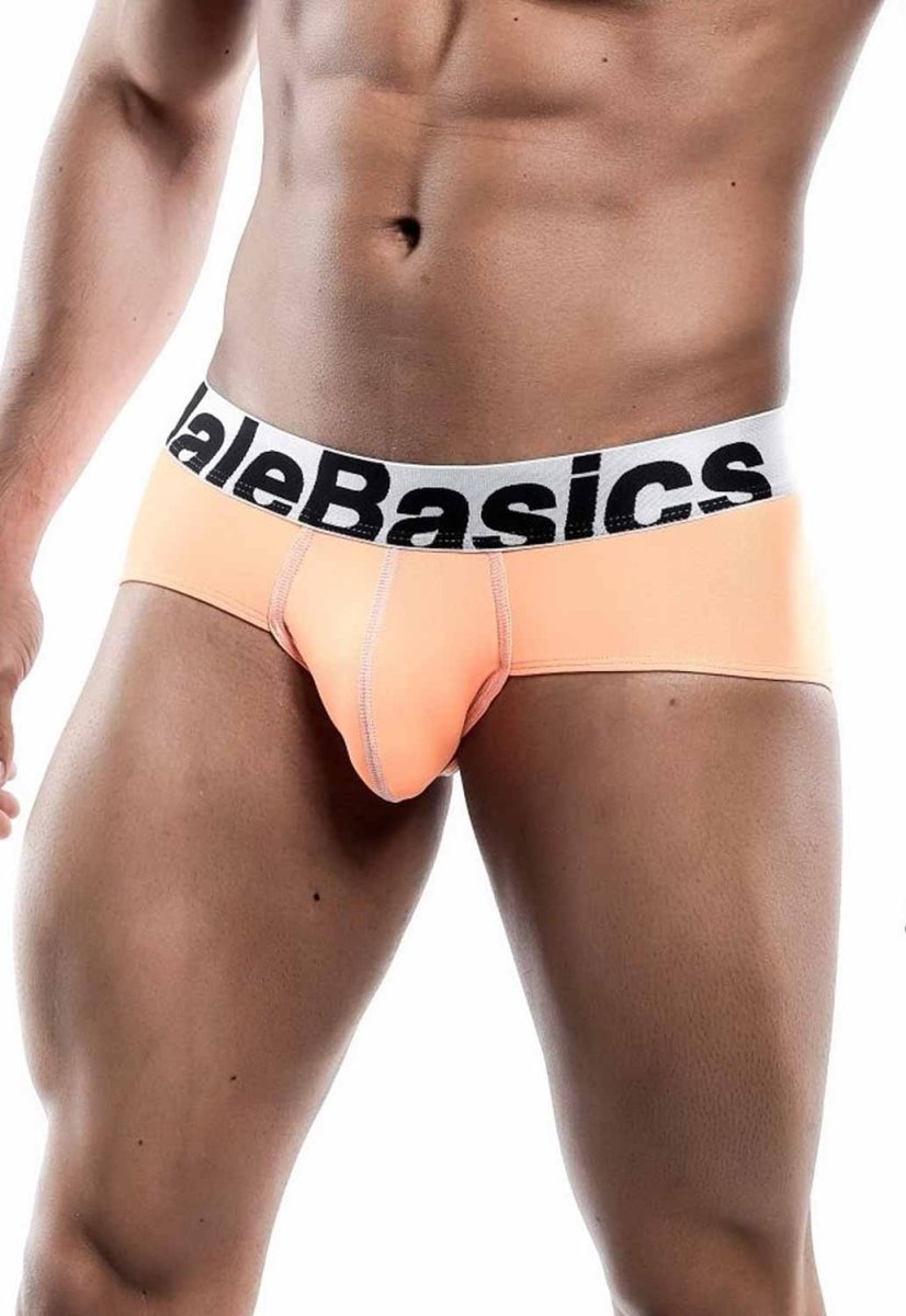 Malebasics Men's Sports Performance Hip Brief