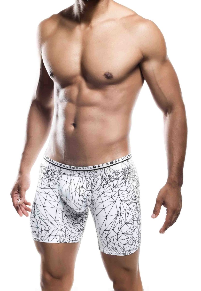Malebasics New Hipster Boxer Brief Spider
