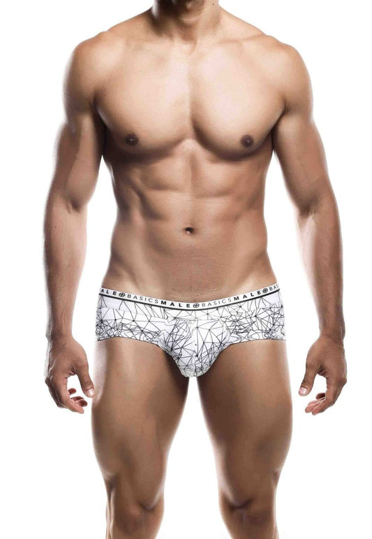 Malebasics New Hipster Brief Spider