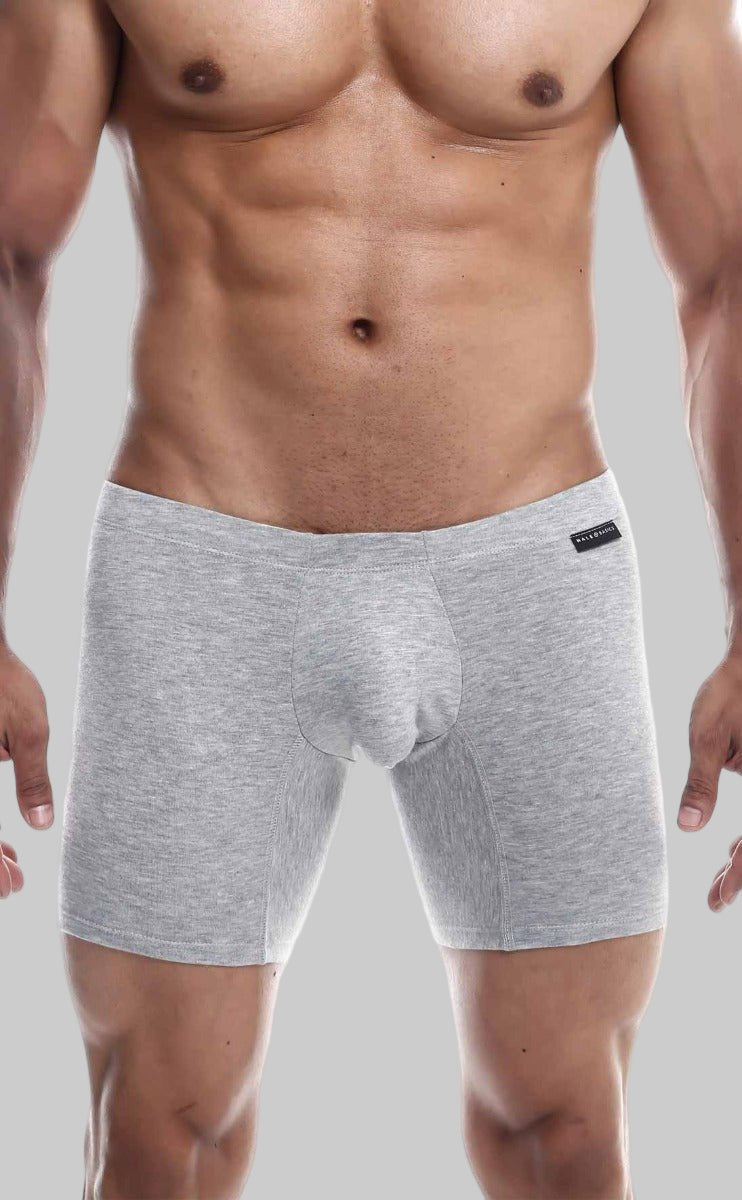 MaleBasics Silver + Boxer Brief