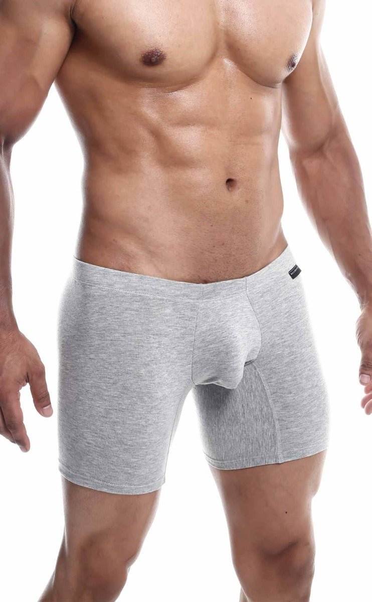 MaleBasics Silver + Boxer Brief
