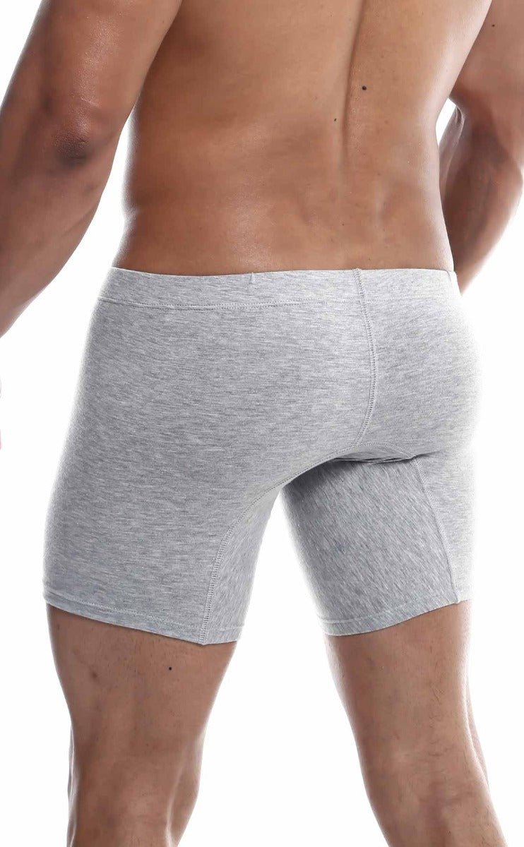MaleBasics Silver + Boxer Brief
